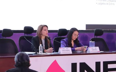 Fiscaliza INE a 7 mil 773 candidaturas en elección del Poder Judicial